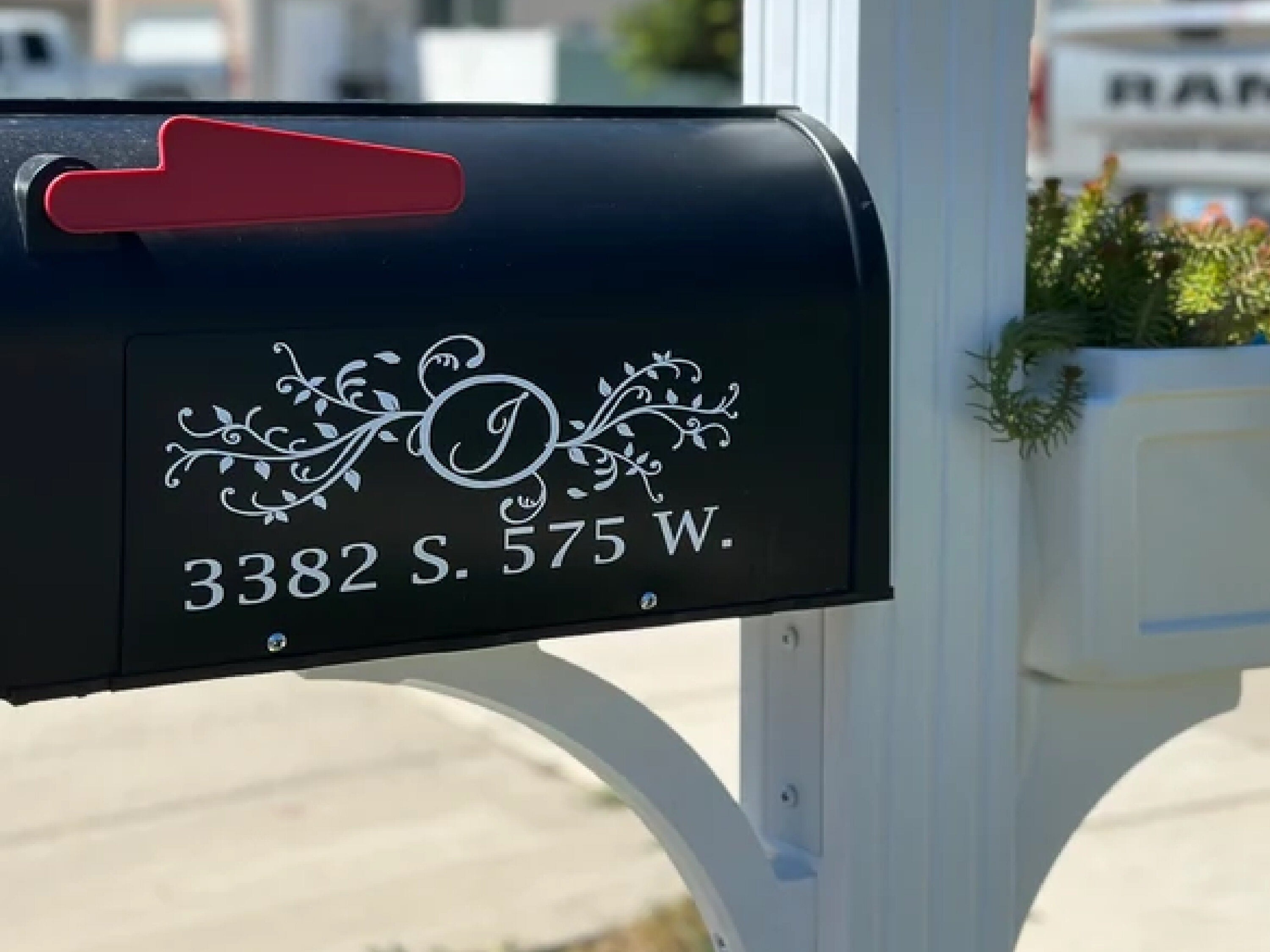 Custom mailbox address sticker in black with elegant scroll lettering - Eastcoast Engraving