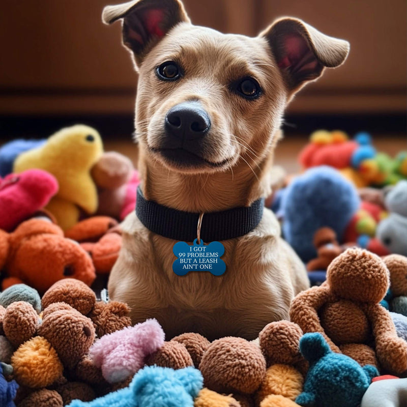 Funny Dog Tags & Pet ID Tags