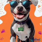 Custom Pet Collar Tags – Desert Cactus Design by Eastcoast Engraving