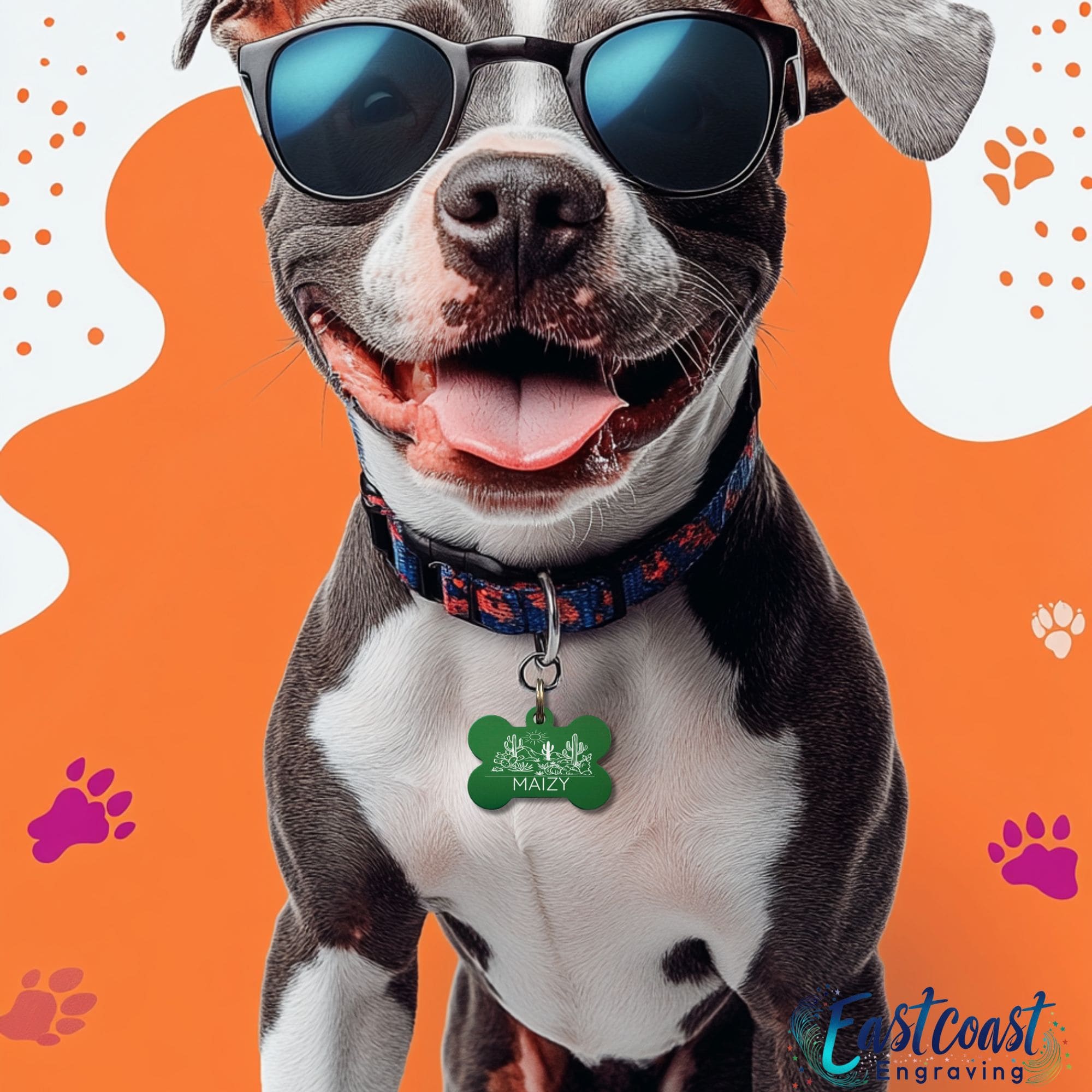 Custom Pet Collar Tags – Desert Cactus Design by Eastcoast Engraving