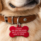 Funny dog ID tag reading “I got 99 problems but a leash ain’t one” on a dog collar