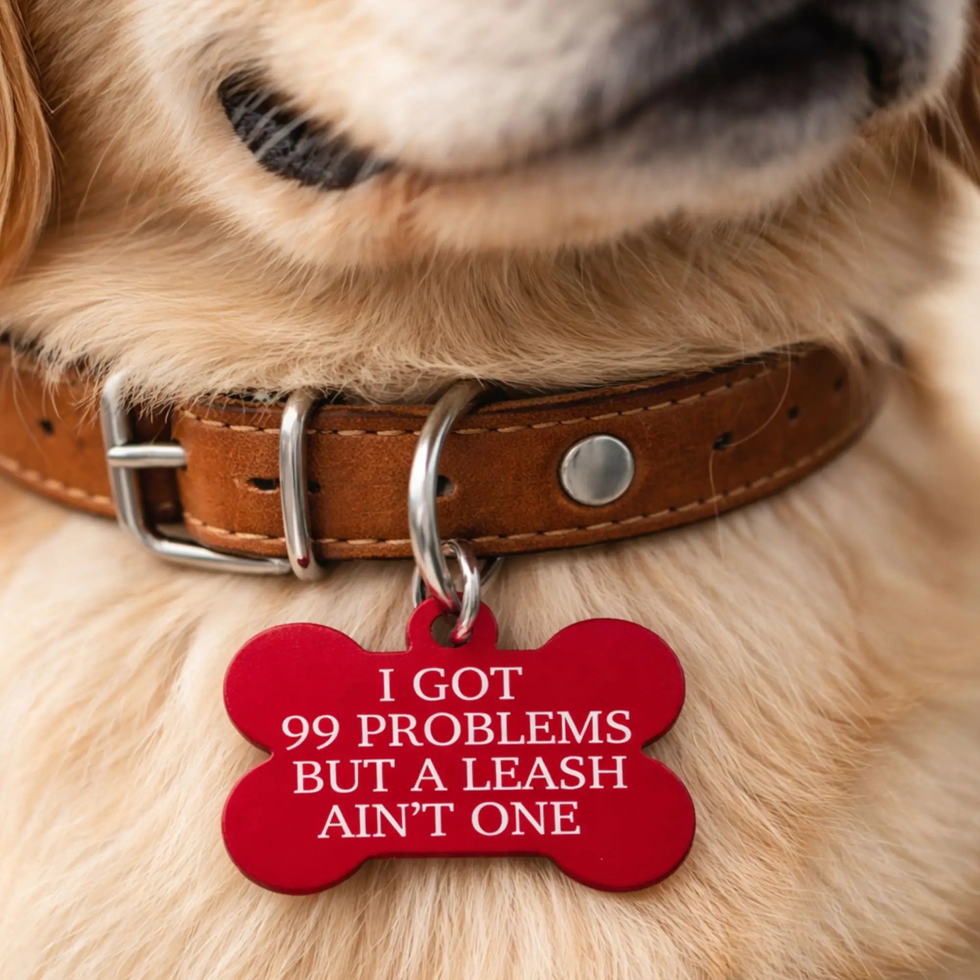 Funny dog ID tag reading “I got 99 problems but a leash ain’t one” on a dog collar