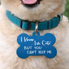 Funny dog ID tag on collar reading “I know I’m cute but you can’t keep me”