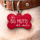 Funny dog ID tag reading “I like big mutts and I cannot lie” on a dog collar