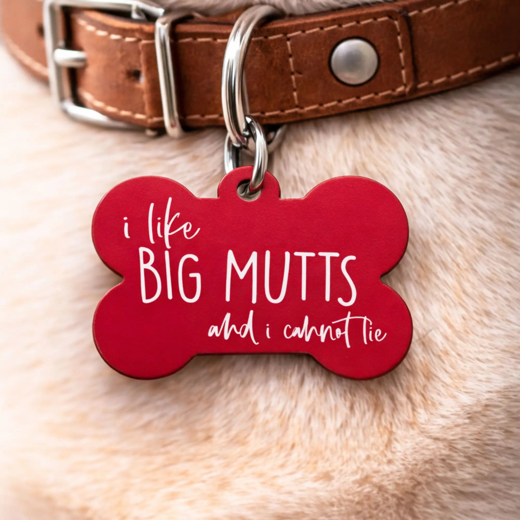 Funny dog ID tag reading “I like big mutts and I cannot lie” on a dog collar