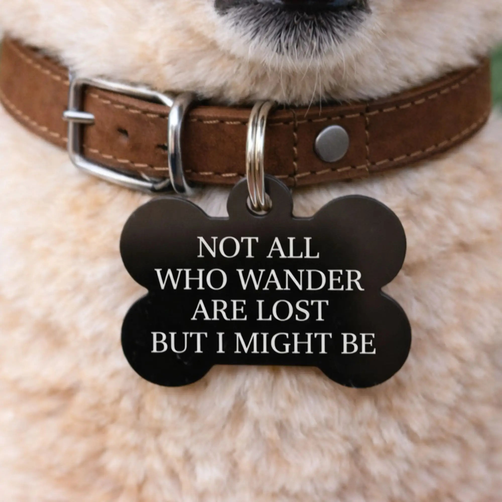 Not all who wander are lost funny dog ID tag on dog collar