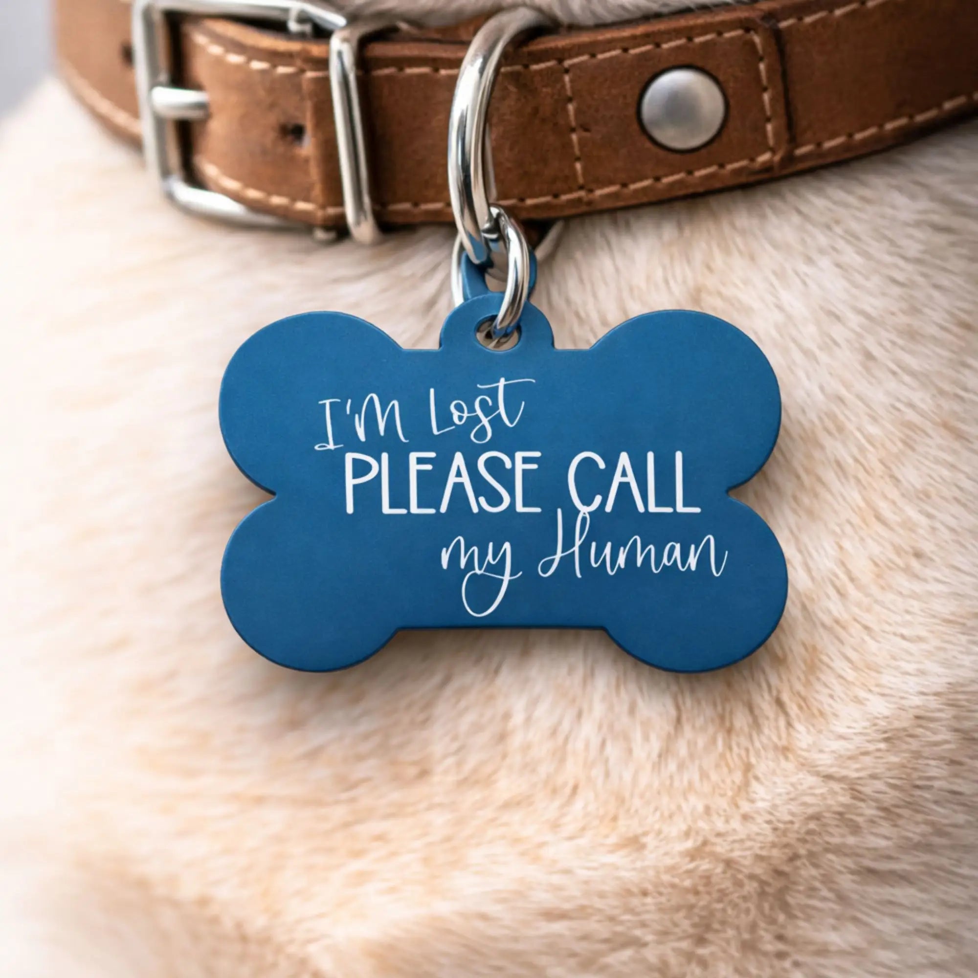 Lost dog ID tag reading “I’m lost please call my human” on dog collar