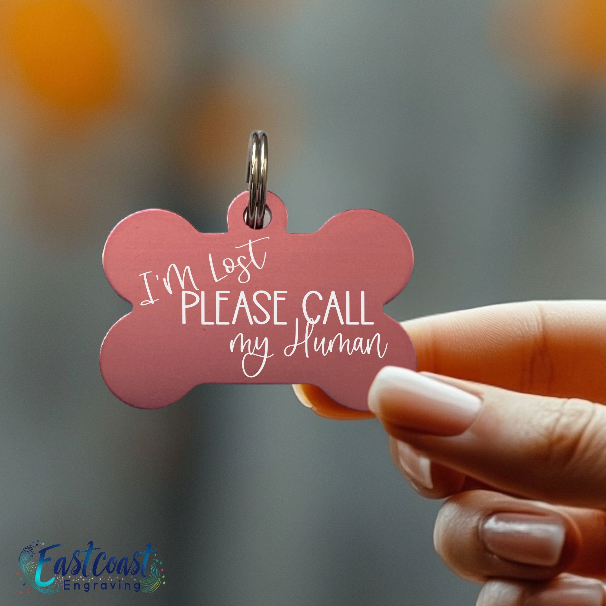 Funny custom engraved pet ID tags – lightweight aluminum